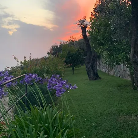 بيت ضيافة Sea View